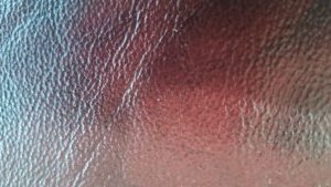 Leather identification in pictures