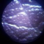 Leather identification in pictures – Bi cast by microscope