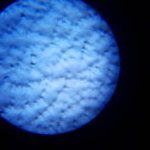 Leather identification in pictures – Micro pigment by microscope