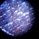 Leather identification in pictures – Pull up by microscope